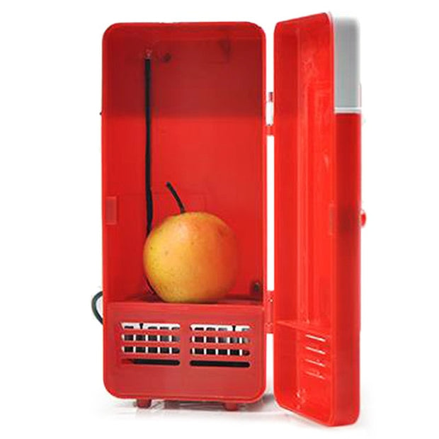 New 2 In 1 Refrigerator With Internal LED Light Car Use Mini Fridge
